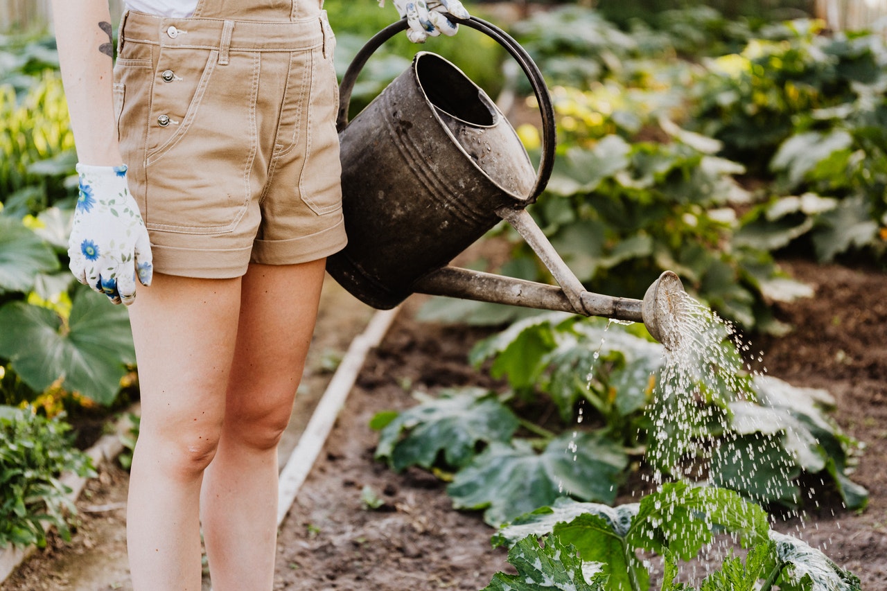 onderstel ledematen en gieter in moestuin